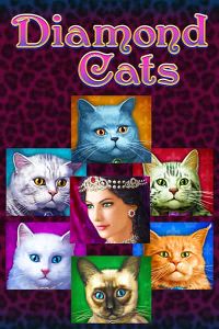 Diamond Cats