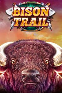 Bison Trail