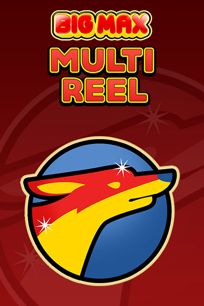 Big Max Multi Reel